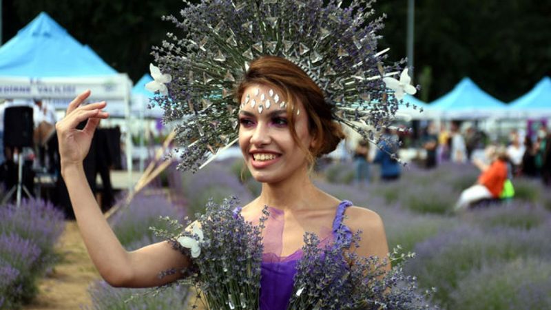 Edirne'de mor tarlalar festival alanına döndü