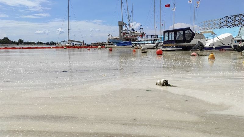 Caddebostan sahilinde yeniden müsilaj yoğunluğu oluştu