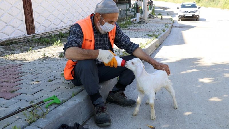 Bolu'da temizlik işçisi, peşinden ayrılmayan oğlağıyla cadde ve sokakları temizliyor