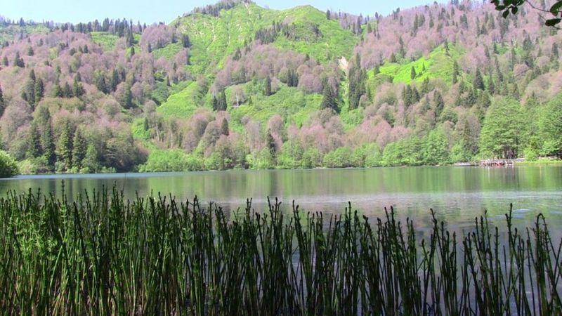 Borçka Karagöl Tabiat Parkı'na ziyaretçi akını