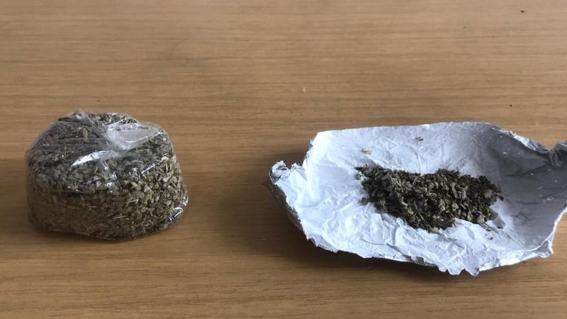 Düzce'de çiçekçide bonzai operasyonu