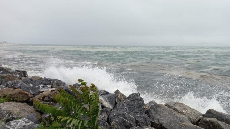 Marmara'da etkili olan lodos, müsilajı kıyıya taşıdı