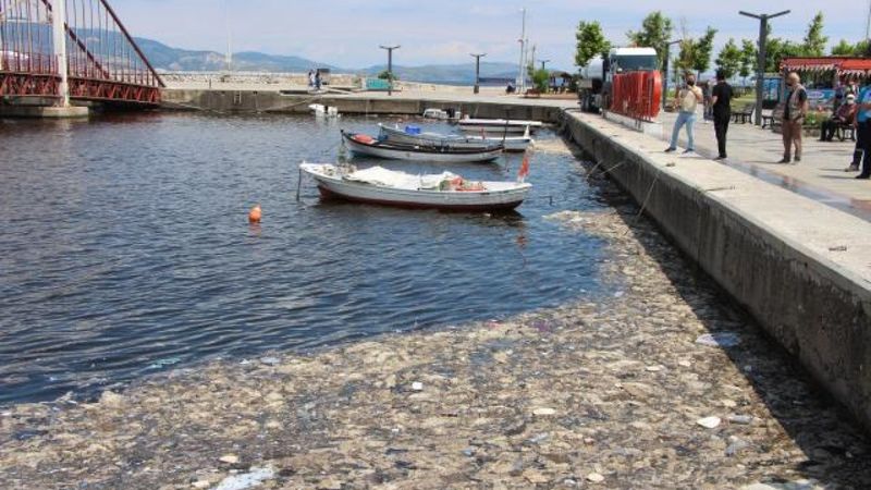 Balıkesir'de müsilaj temizleme çalışmaları devam ediyor