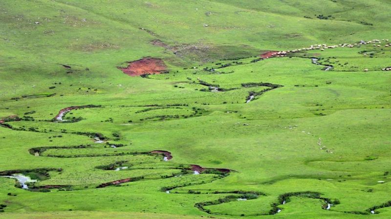 Ordu Perşembe Yaylası görenleri büyülüyor