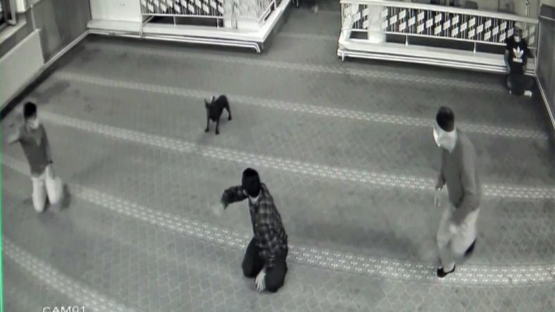 Denizli'de camide hayatlarının şokunu yaşadılar