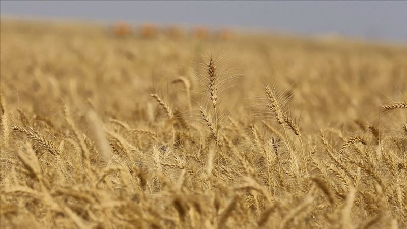 İklim değişikliği ve salgın hastalık insanların alışkanlıklarını değiştirdi