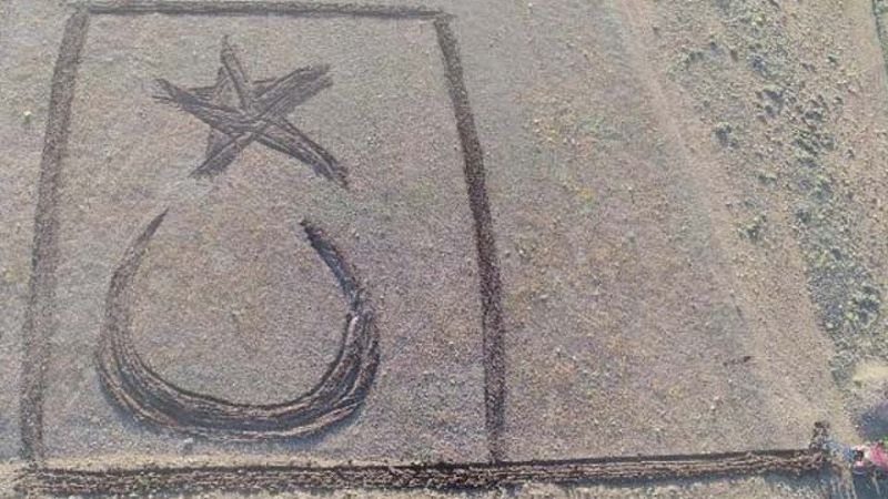 Erzurumlu çiftçi tarlasına ay yıldız çizdi