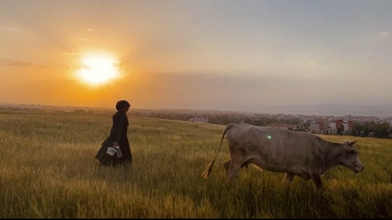 Ağrı'da kendisine hayran bırakan gün batımı