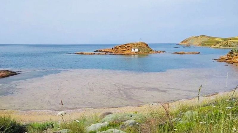 Yunanistan müsilajları inceliyor