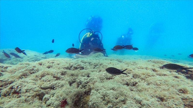 Doğu Akdeniz su altı zenginliğiyle dikkat çekiyor