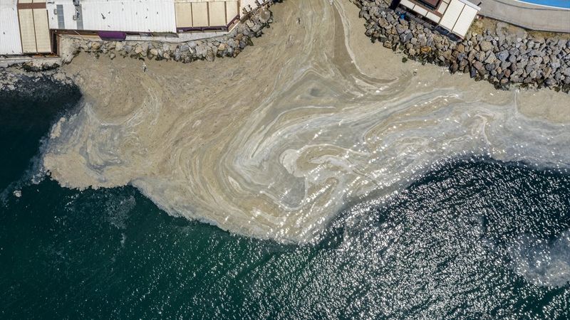 Marmara’da toplanan müsilaj miktarı 7 bin 932 metreküp oldu