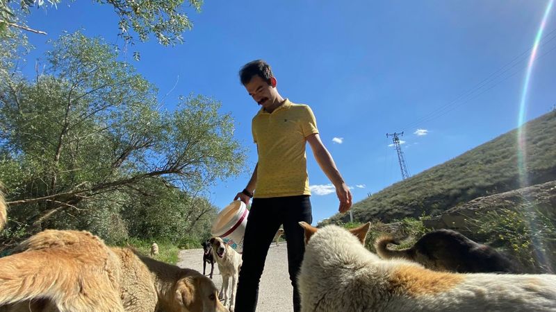 Ankara'da sokak hayvanları için restoranlarda ücretsiz çalışıyor