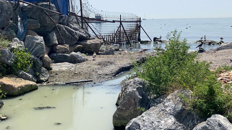 Kadıköy'de atıklarla pislenen derenin suyu denize karışıyor