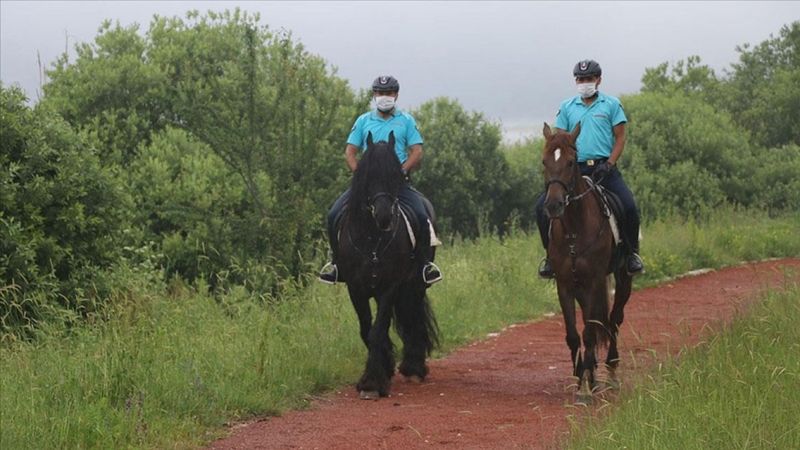 Bolu Abant'ta atlı jandarma göreve başladı