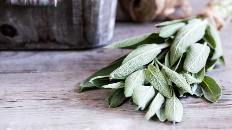 Her derde deva! Ada çayının faydaları nedir?