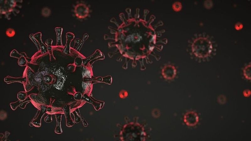 Bağışıklık sistemine saldırıyor! Kappa varyantı nedir? İşte belirtileri...