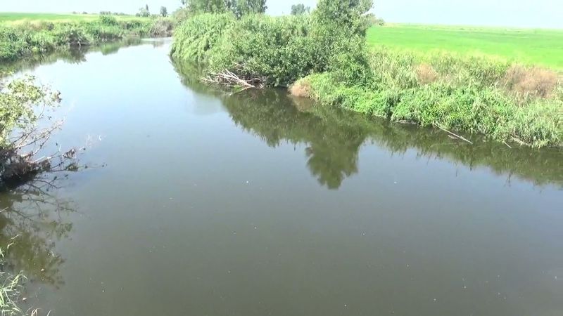 Balıkesir Gönen Çayı'nın rengi değişti