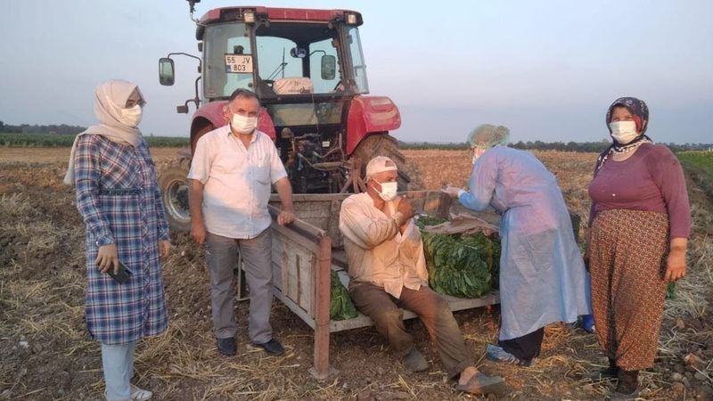 Sağlık ekipleri, tarım işçilerine tarlada aşı yaptı