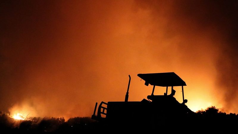 Türkiye'nin ormanları yanıyor