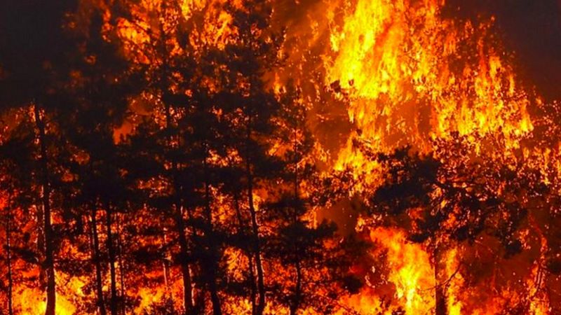 Manisa Valiliğinden Turgutlu'da yakalanan PKK’lı 2 terörist hakkında açıklama