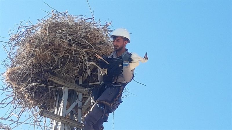 Elazığ'da elektrik teline takılan leyleği itfaiye kurtardı