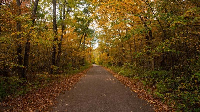 İstanbul genelinde ormanlara giriş yasaklandı