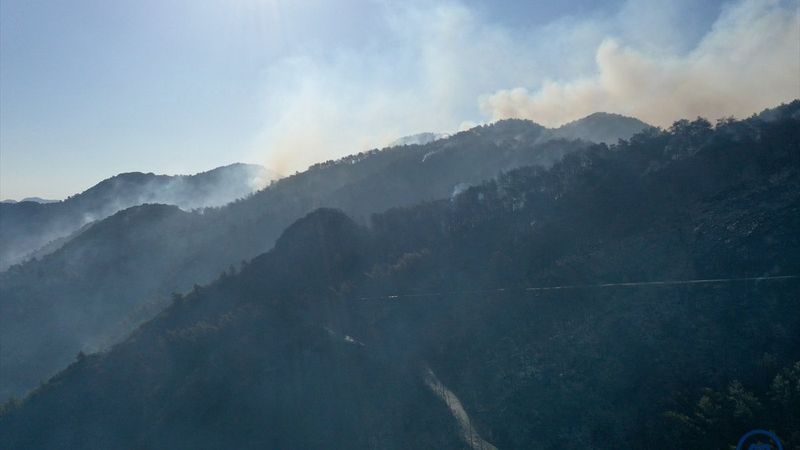 Marmaris'teki yangın havadan görüntülendi