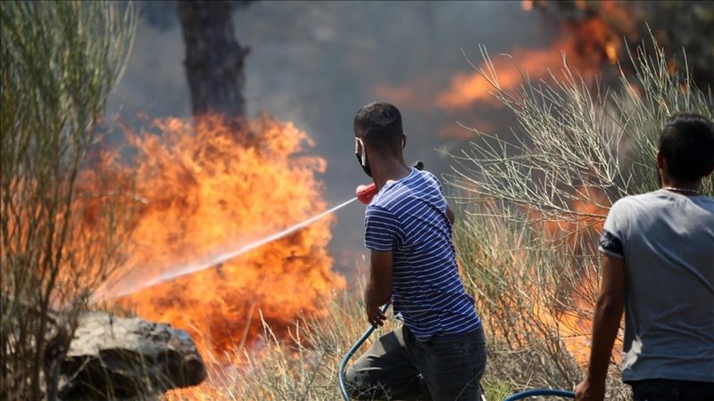 Vatandaşlar Silifke'deki yangını söndürme çalışmalarına yardım ediyor