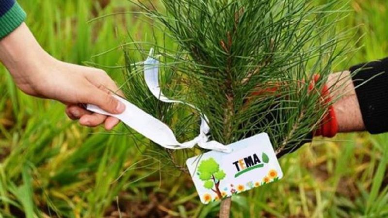 TEMA Vakfı fidan bağışı ekranı! TEMA Vakfı fidan bağışı nasıl yapılır, ücreti ne kadar?