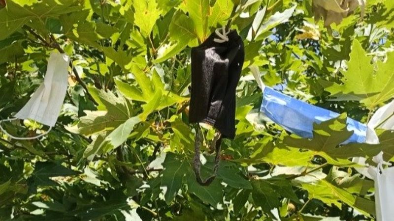 İzmir'de, vatandaşların çaput bağladığı dilek ağacına maske asılmaya başlandı