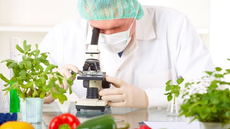 Gıda mühendisliği nedir, ne iş yapar? Gıda mühendisliği mezunları...