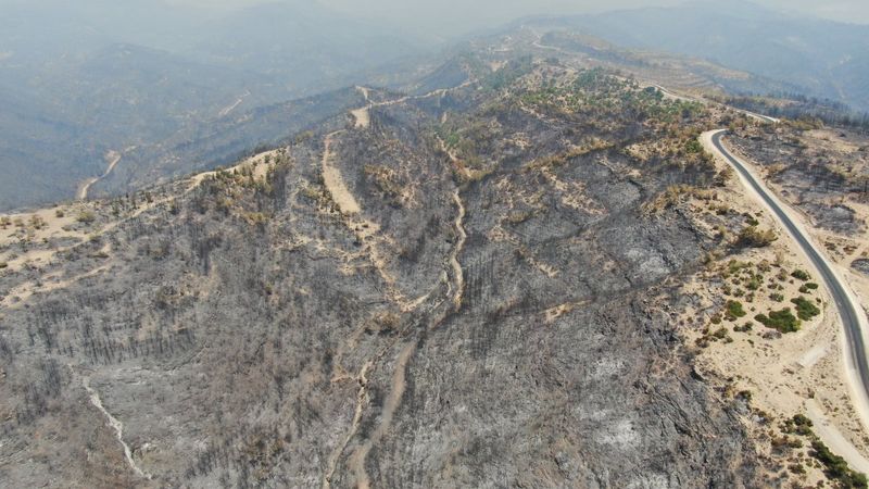 Antalya Manavgat'ta söndürülen alanlar havadan görüntülendi