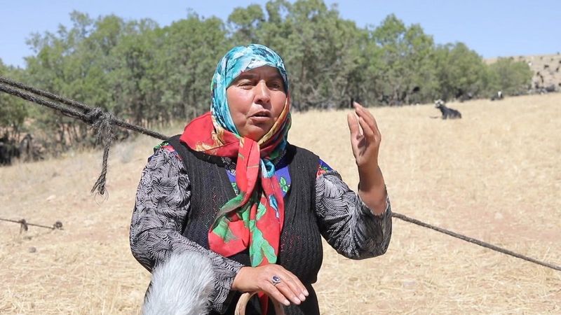 Pervin Çoban Savran orman yangınlarının sebebini anlattı