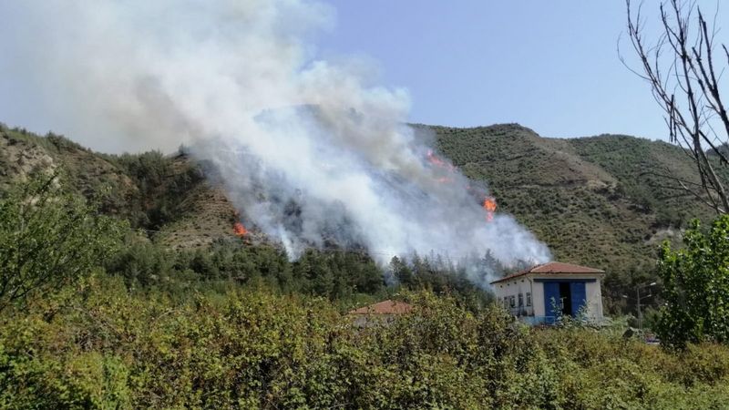 Karabük'te orman yangını çıktı