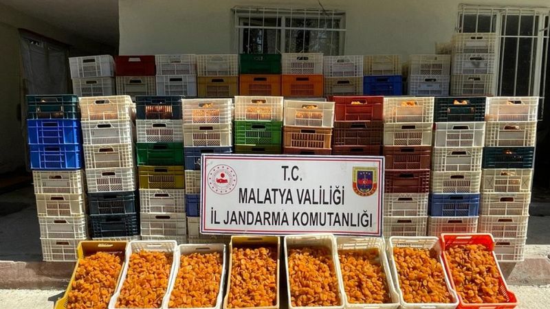 Malatya'da 2,5 ton kuru kayısı çaldılar