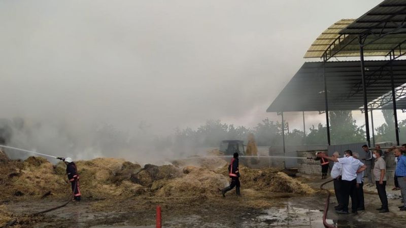 Malatya'da 100 ton saman yandı