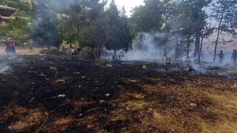 Mersin'de yaylalarda çıkan yangınlar paniğe neden oldu