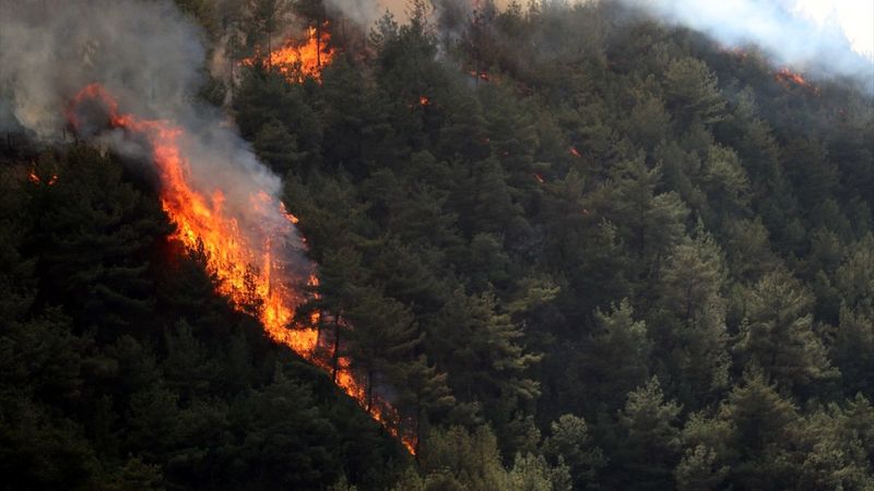 Orman yangınlarıyla mücadelede son durum