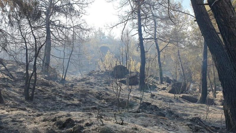 Çine'de yanan alanlar görüntülendi