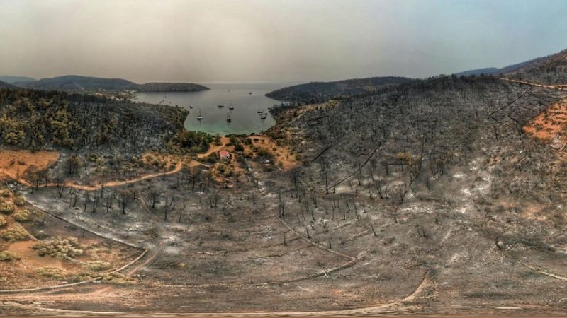 Orman yangınlarının çıktığı Bodrum ve Milas'ın son hali