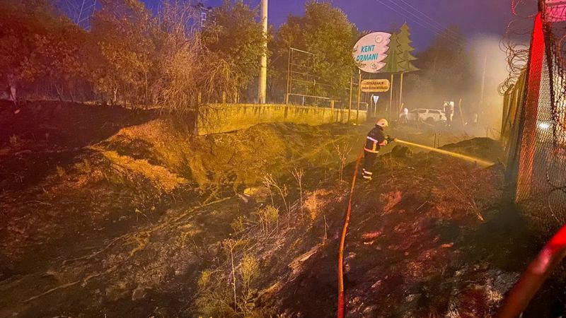 Diyarbakır’da 4 şüpheli ormanı yakmaya çalıştı