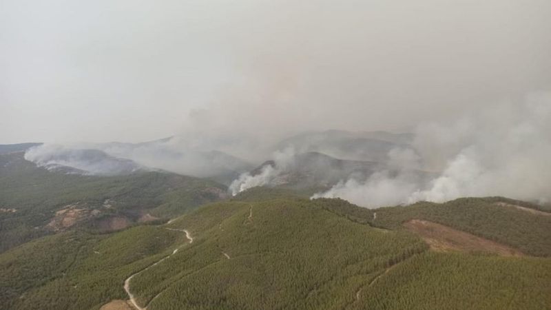 Muğla Milas yangını kontrol altına alındı