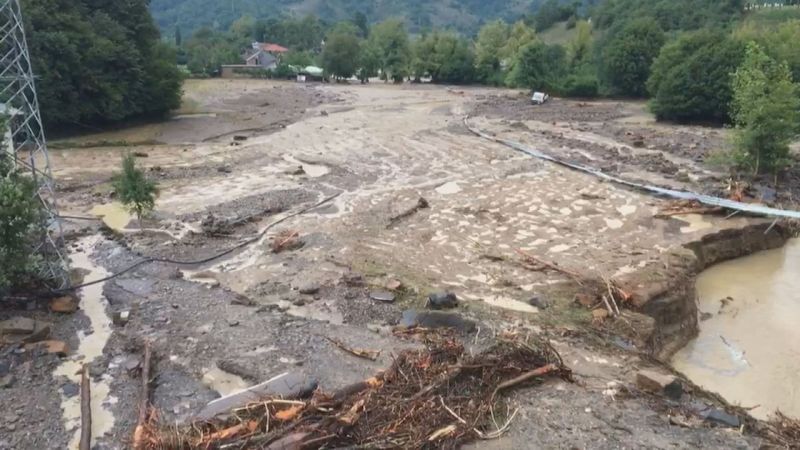 Bartın'da sel: Ağaçlar yolları kapattı