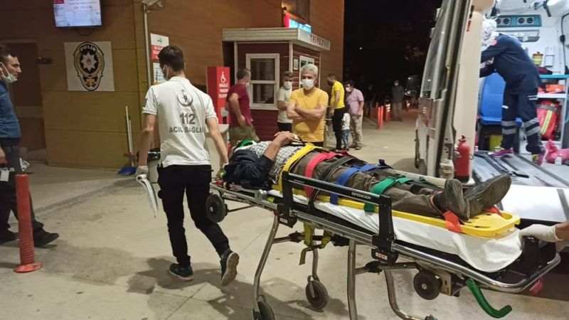 Bursa'da motosiklet, domuz sürüsüne çarptı