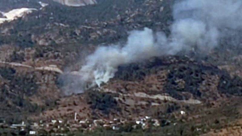 Muğla'da zeytinlik alanda yangın çıktı