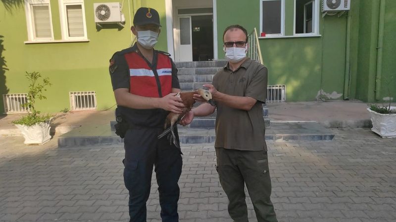 Manisa’da kümesinde angut bulundu, cezayı yedi