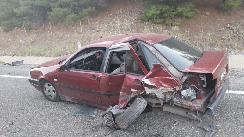 Adıyaman'da yola çıkan köpek kazaya neden oldu