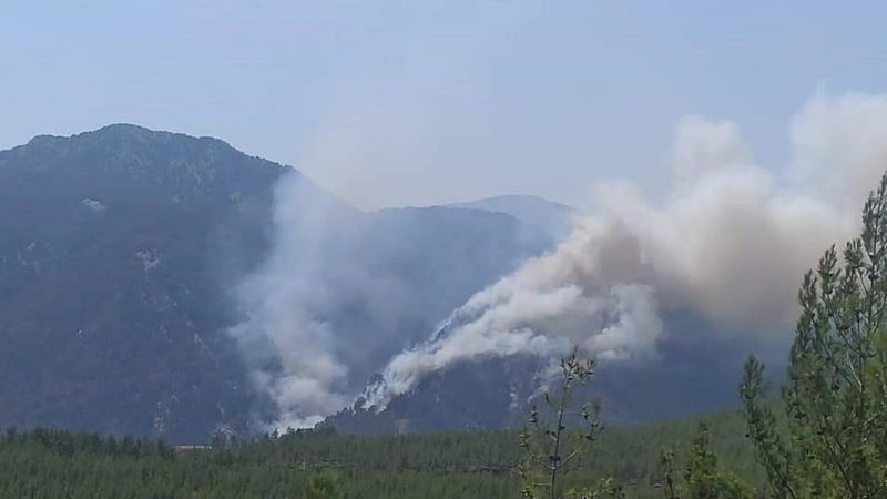 Denizli'de orman yangını çıktı