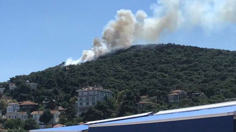 Heybeliada'da orman yangını kontrol altında