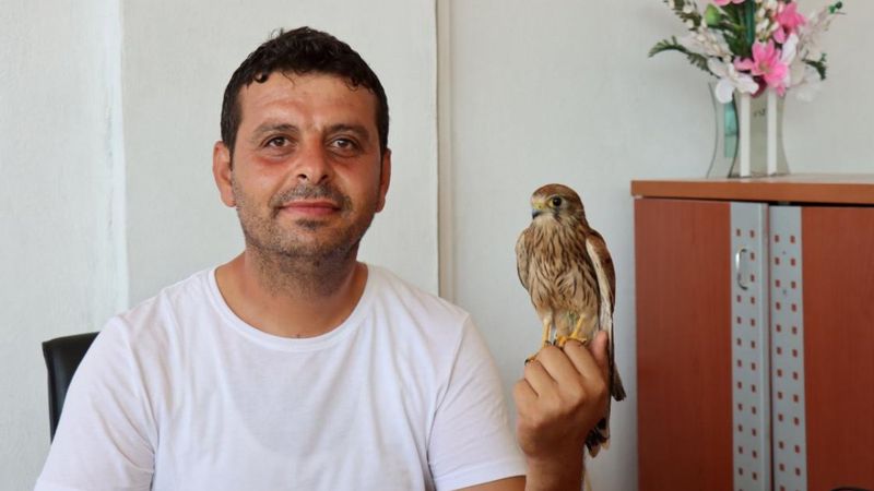 Adıyaman'da atmaca yavrusu ile lokantacının dostluğu